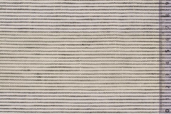 09LINSTRT000WHIxxxLIN[LINEN Thin Stripe](WHITE)F 560x560